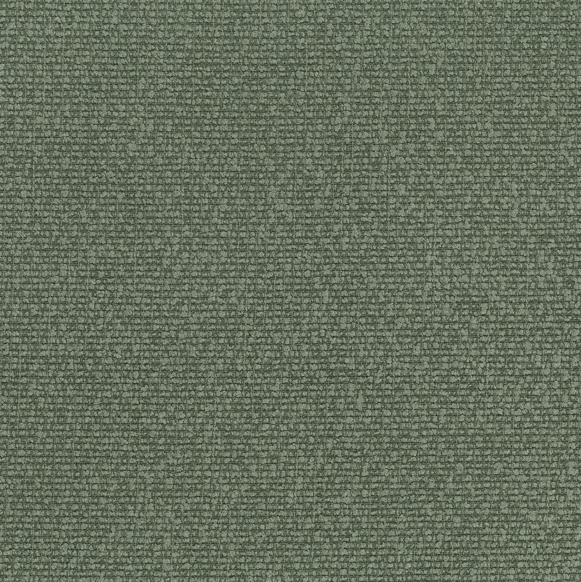 Olive | Nordic