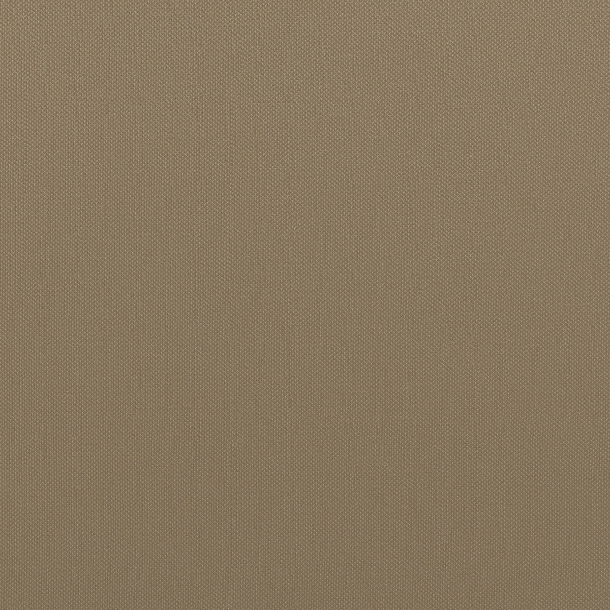 Almond