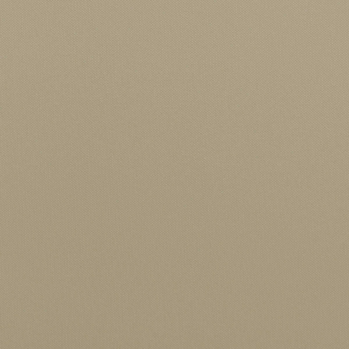 Cream | Odyssey