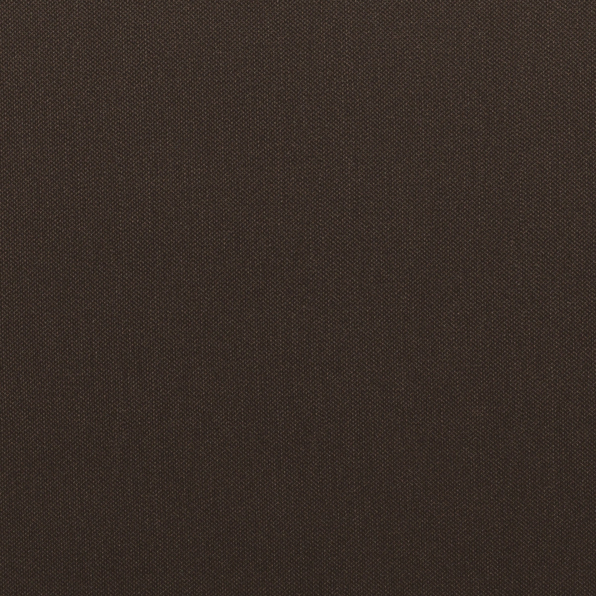 Ebony | Odyssey