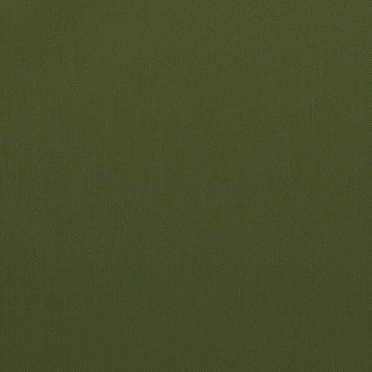 Grass | Odyssey
