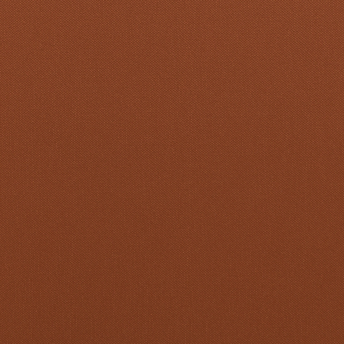 Terracotta | Odyssey