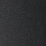 Black | Omega