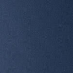 Blue | Omega