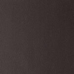 Dark Brown | Omega