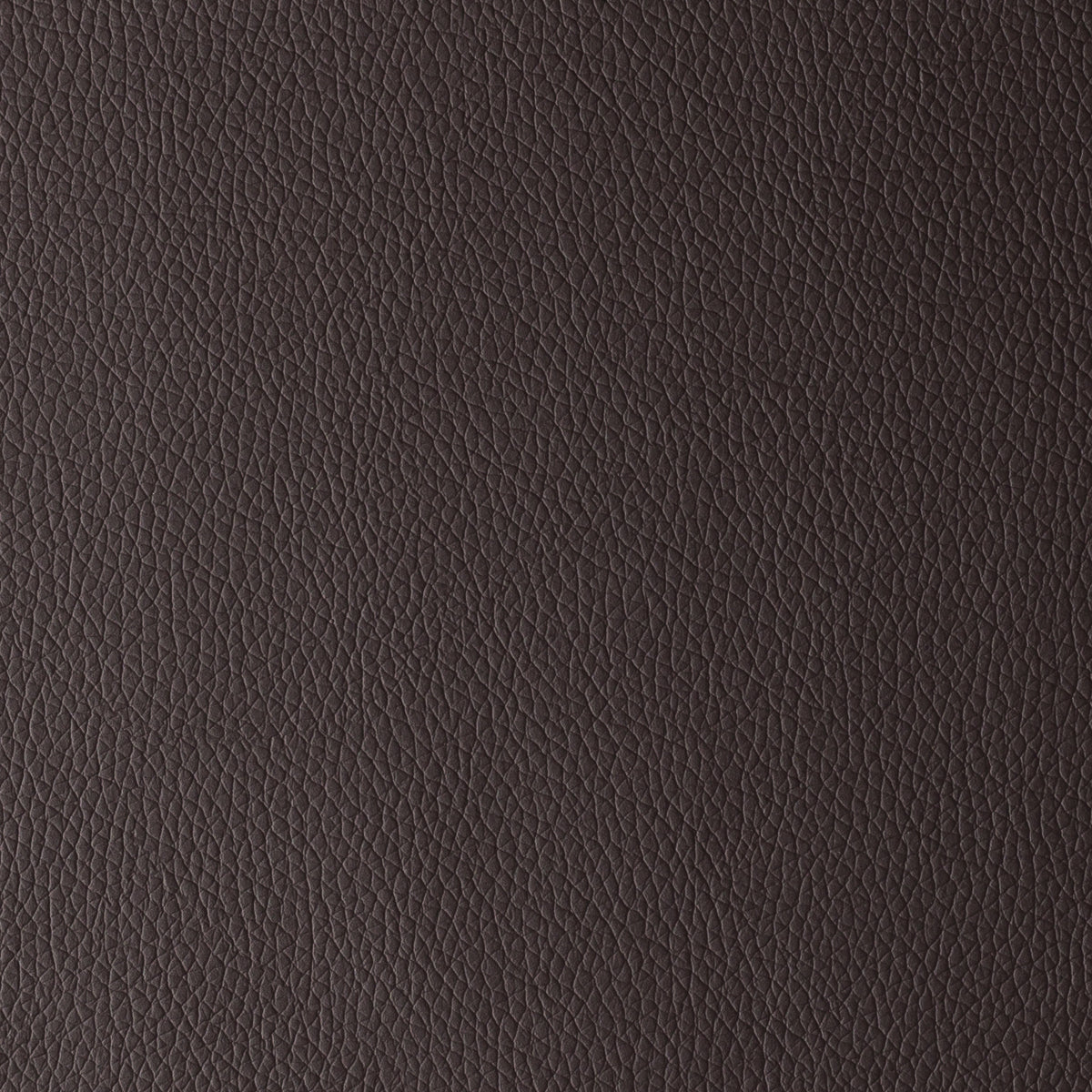 Dark Brown | Omega