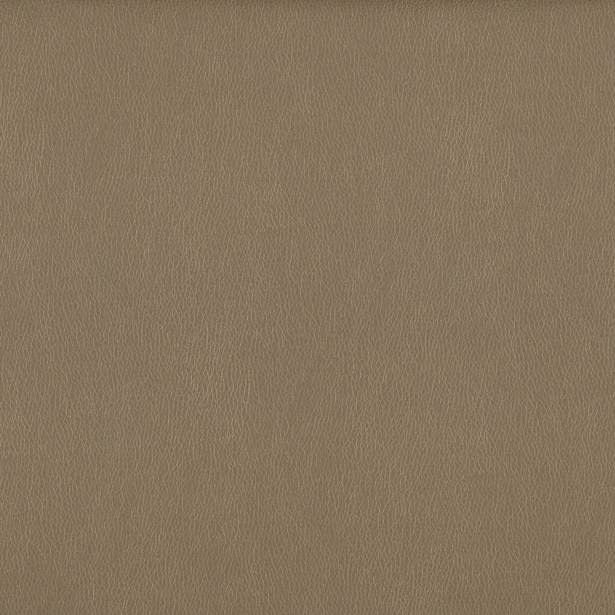 Gold | Omega