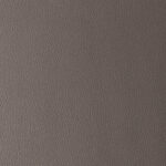 Grey | Omega