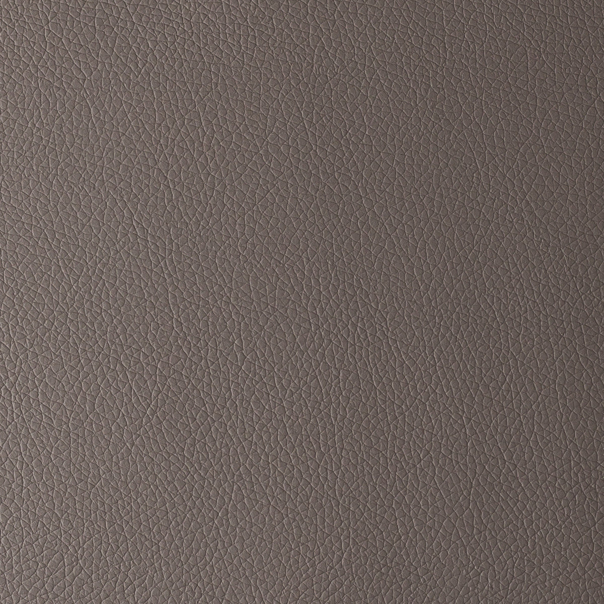 Grey | Omega