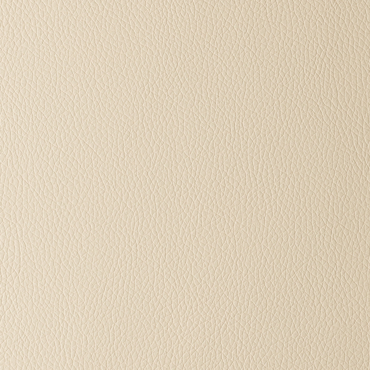 Ivory | Omega