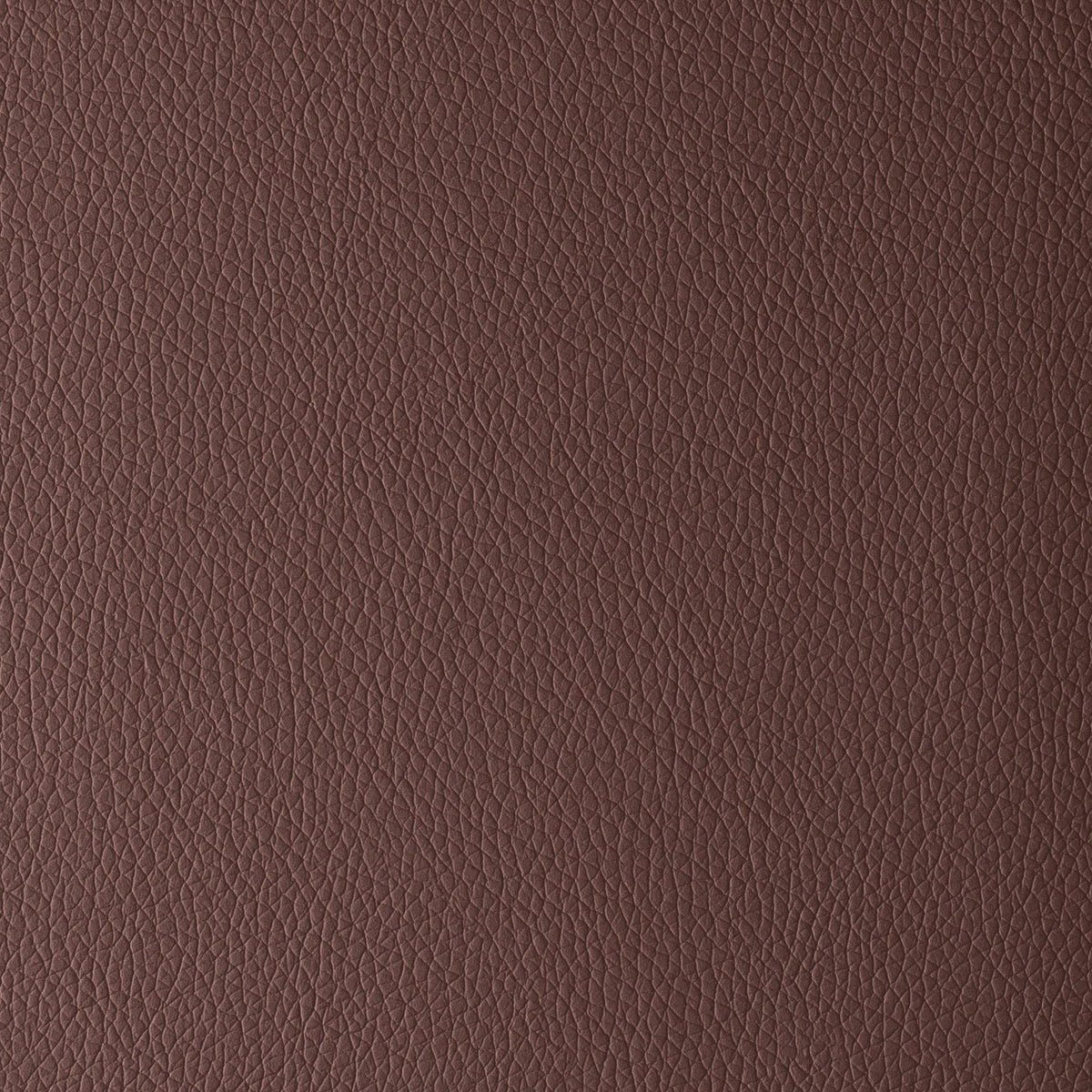 Light Brown | Omega