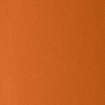 Orange | Omega