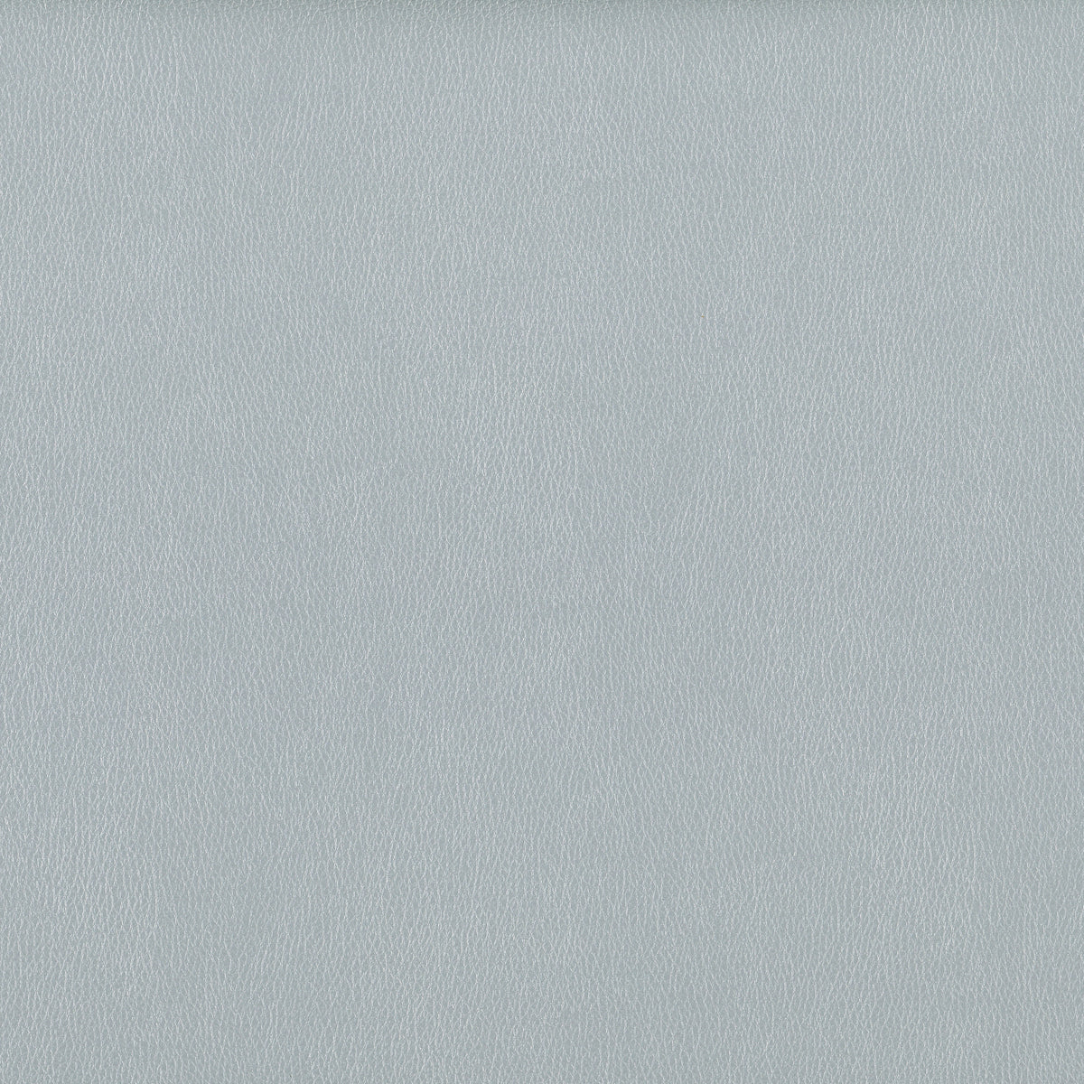 Silver | Omega