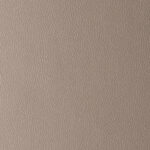 Taupe | Omega