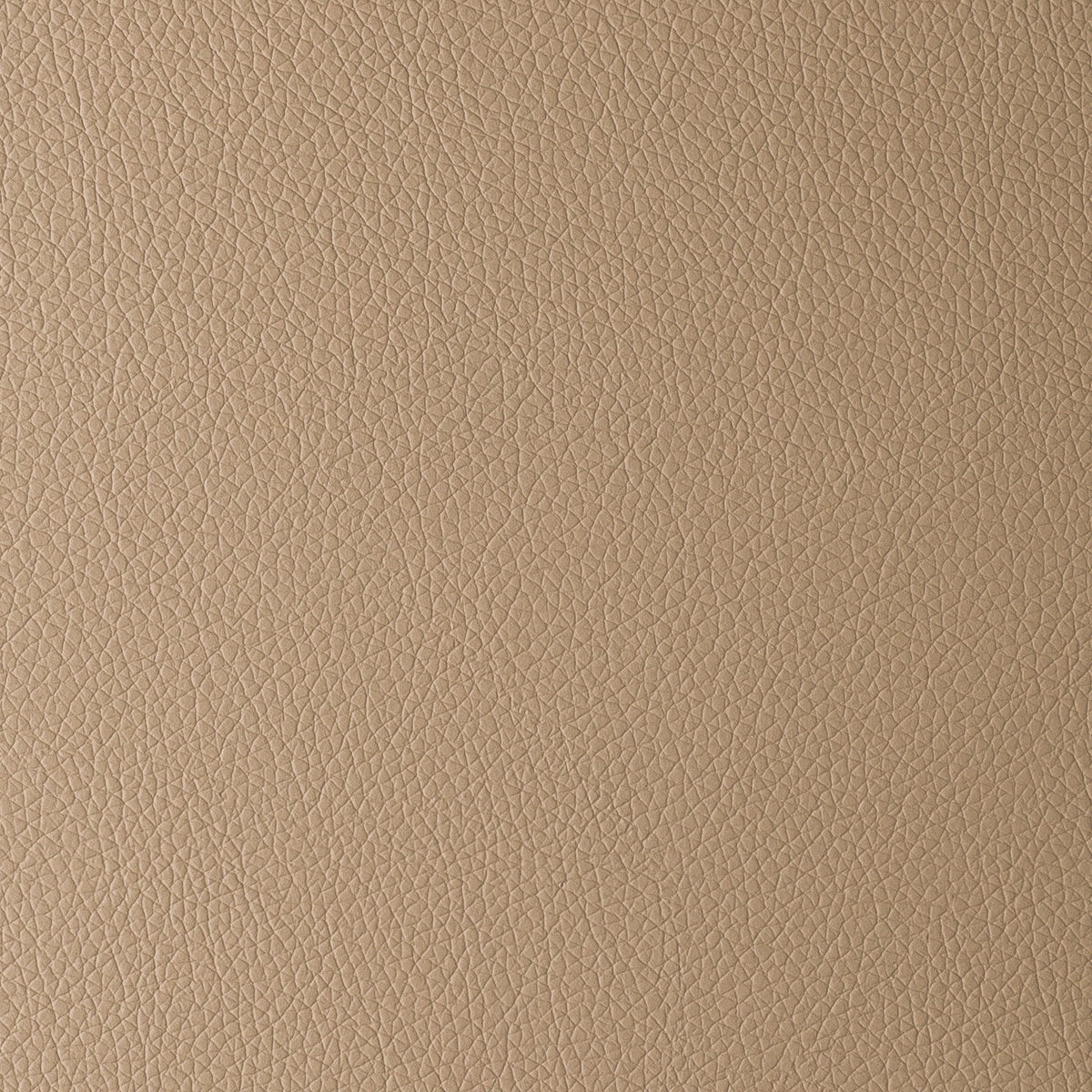 Trufa | Omega