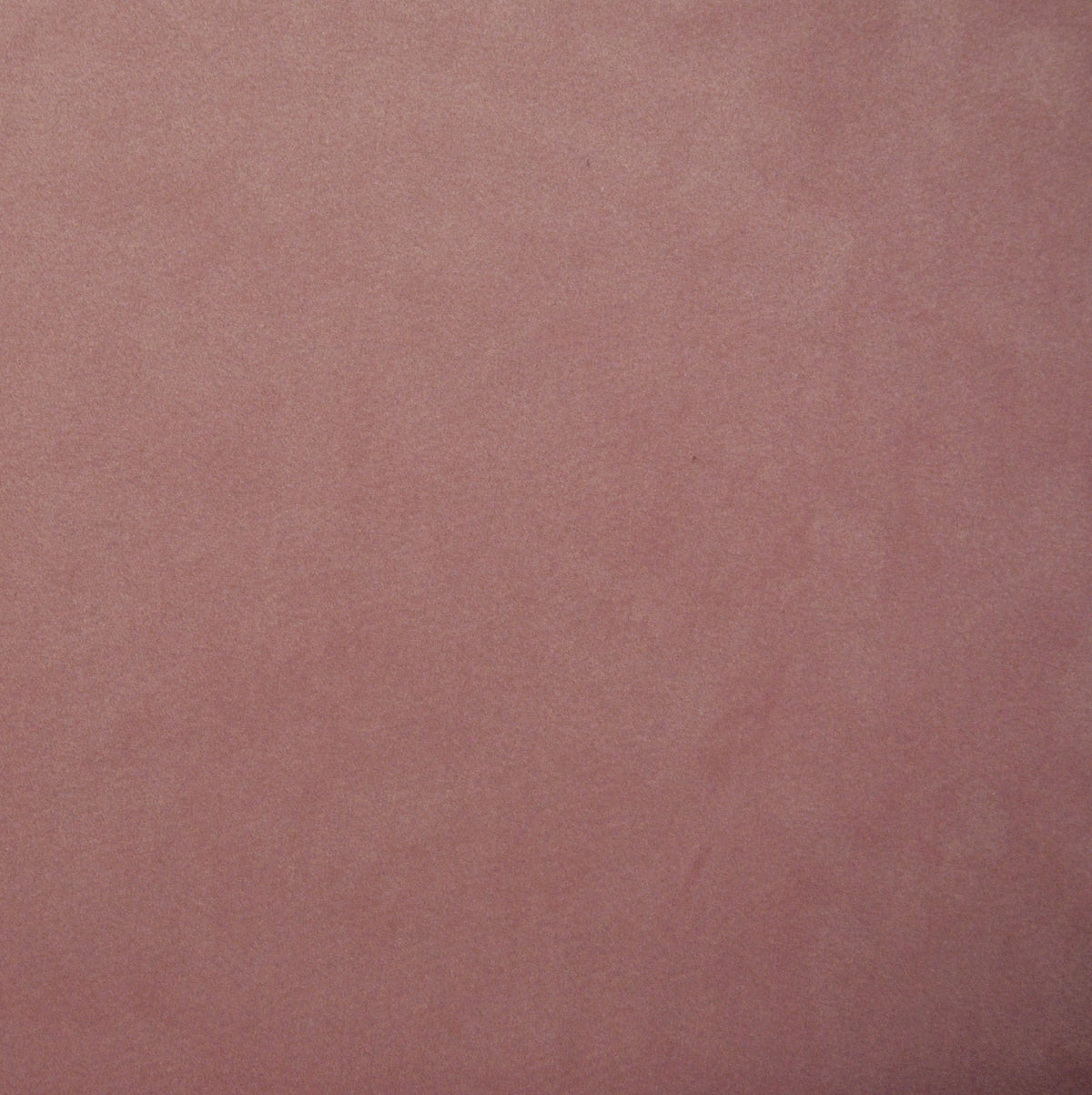 Pink | Opera