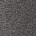 Dark Grey | Pacifico