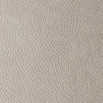Light Grey | Pacifico