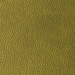 Moss | Pacifico