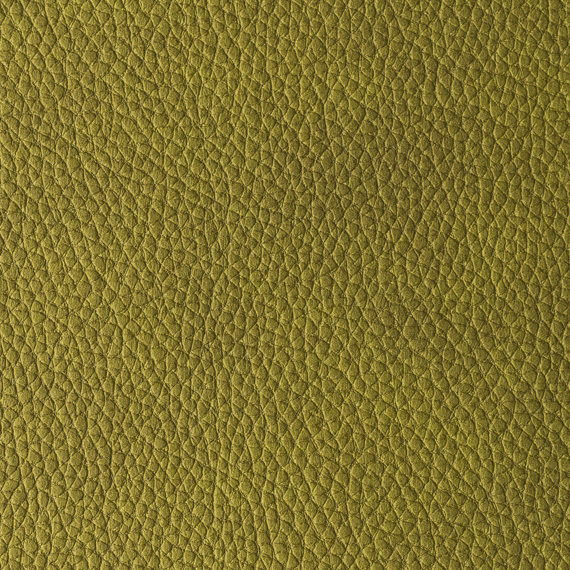 Moss | Pacifico