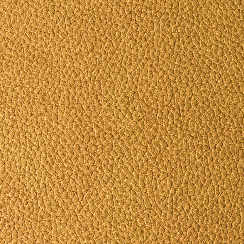 Mostaza | Pacifico