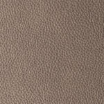 Taupe | Pacifico