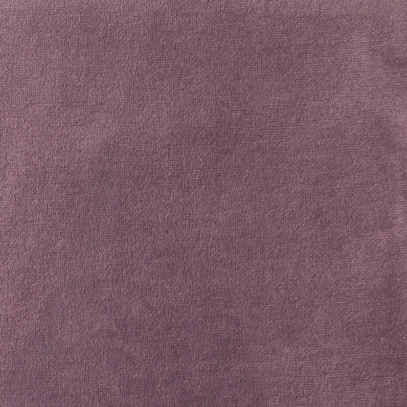 Lavanda | Paris