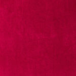 Red Rose | Paris