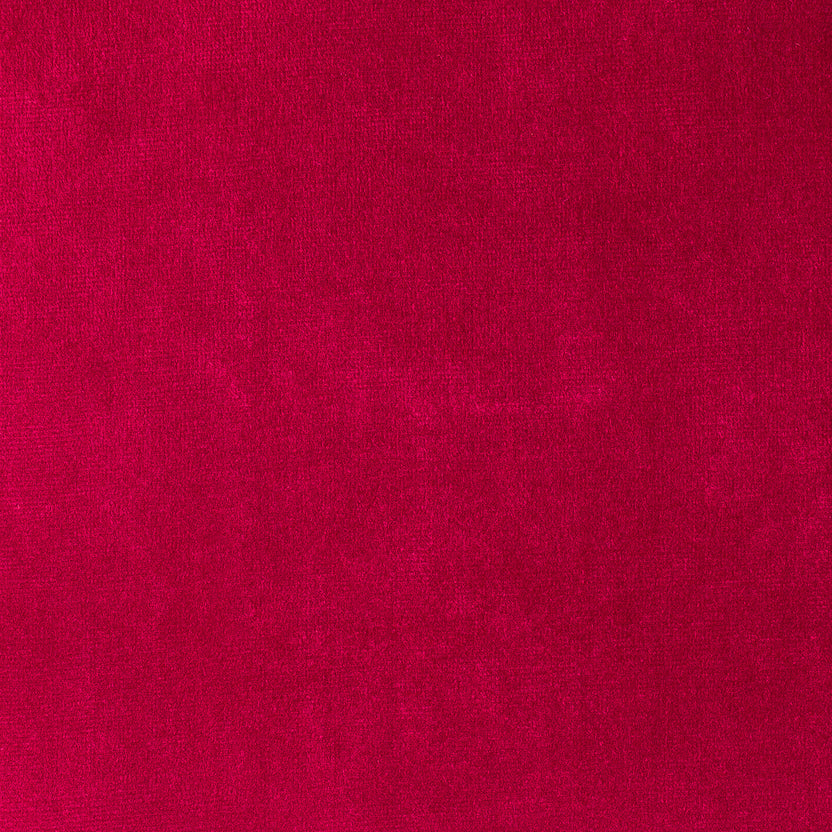 Red Rose | Paris