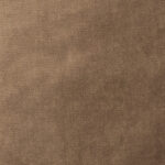 Taupe | Paris