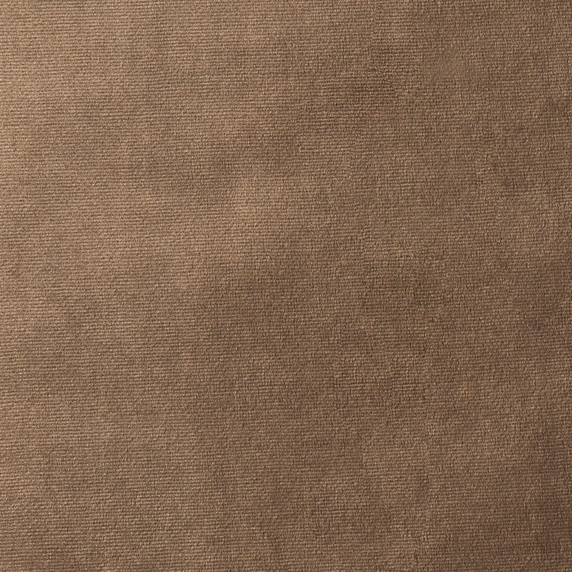Taupe | Paris
