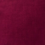 Wine | Paris