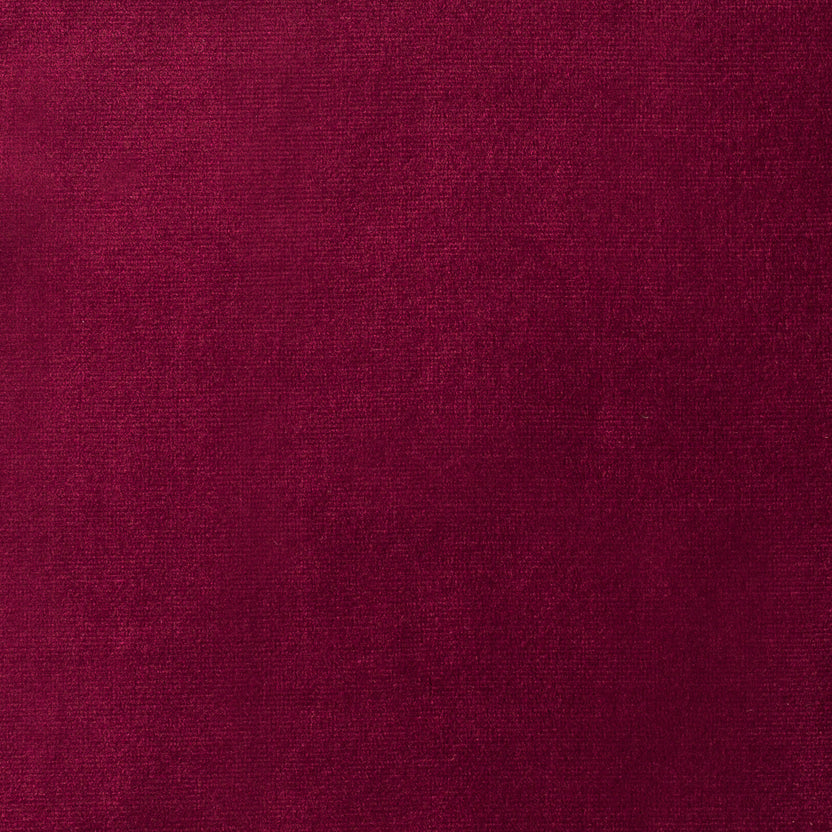 Wine | Paris