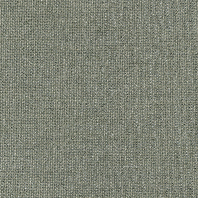 Bamboo | Prado