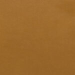 Apricot | Prime