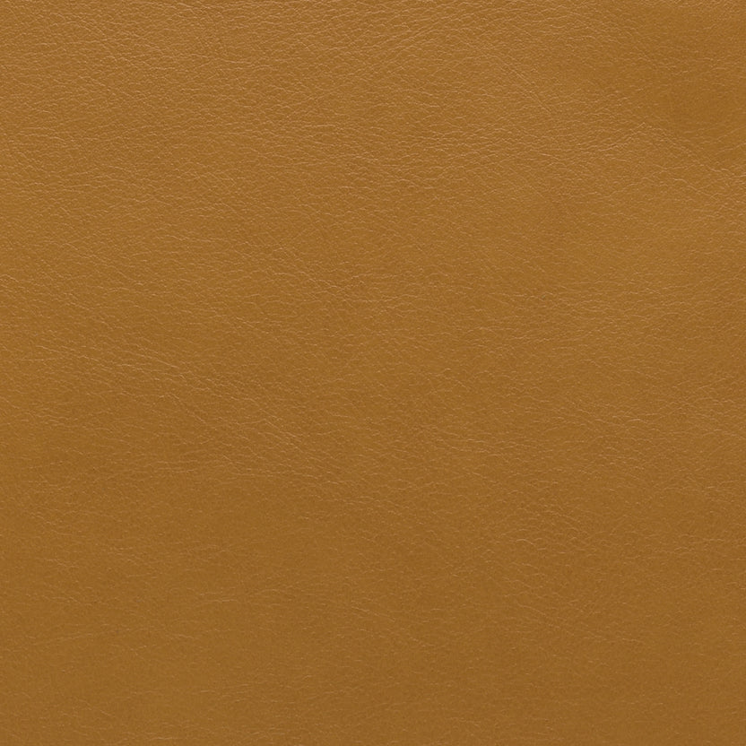 Apricot | Prime