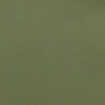 Bamboo | Prime