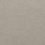 Beige | Queens