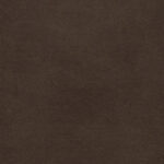 Brown | Rodeo