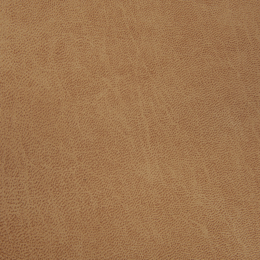 Camel | Rodeo