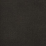 Ebony | Rodeo