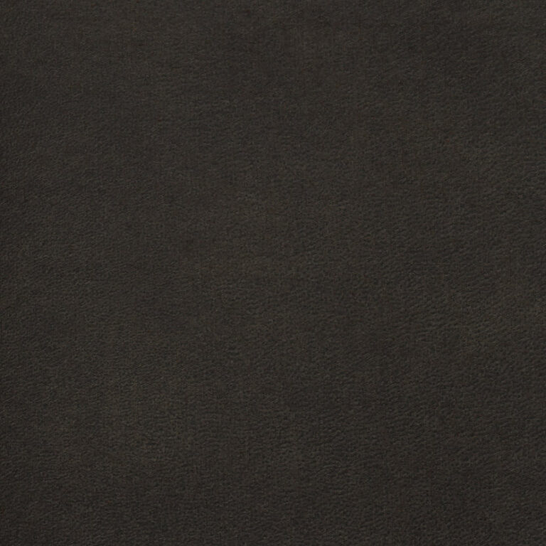 Rodeo