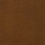 Hazelnut | Rodeo