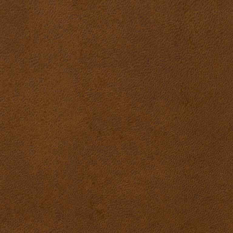 Hazelnut