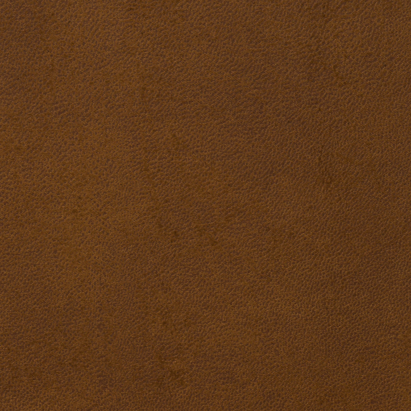 Hazelnut | Rodeo