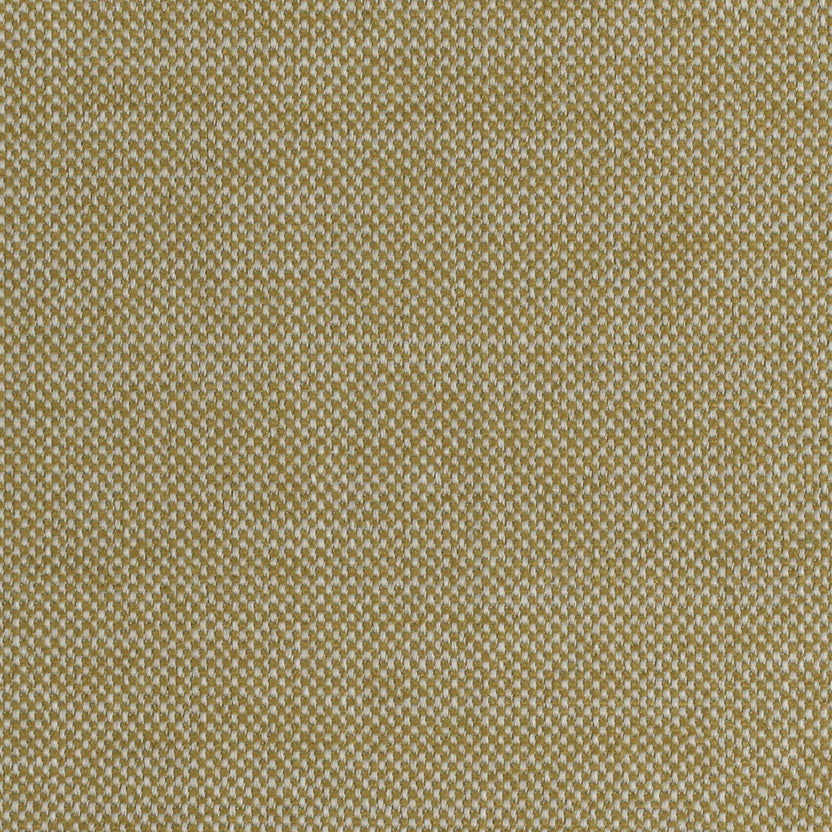 Mustard | Roma