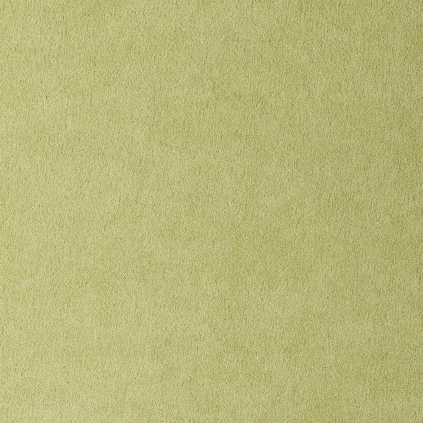 Citric | Royal Suede