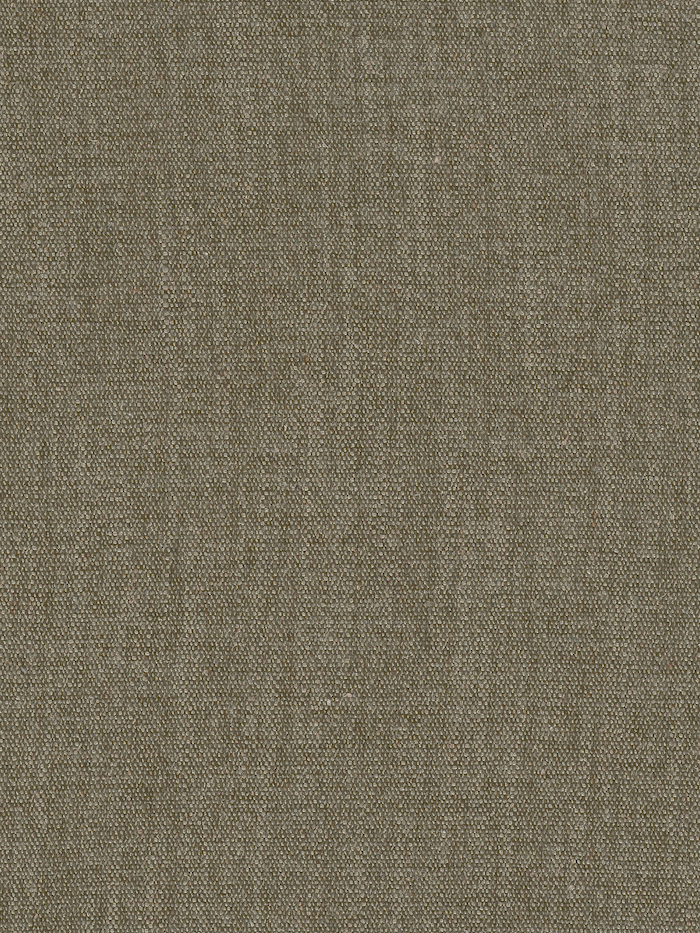 Olive | Sahara