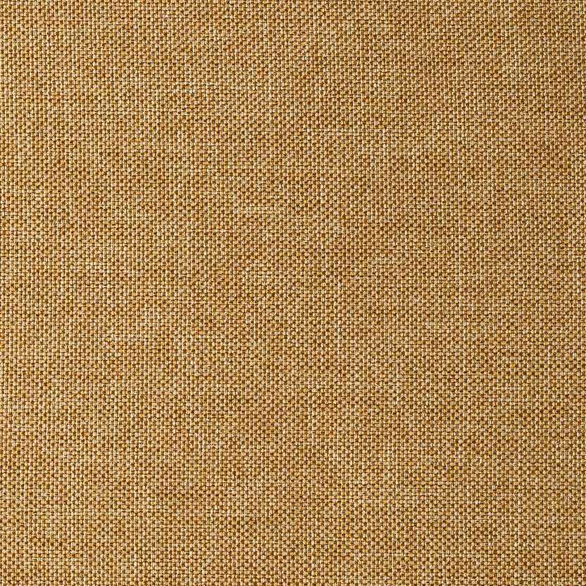 Camel | Savana