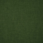 Forest | Savana